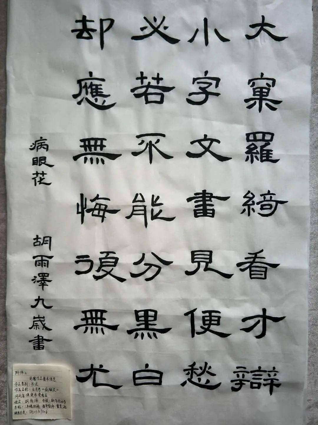 字若教育 翰墨绘光明——XX小学“全国爱眼日”主题教育活动纪实